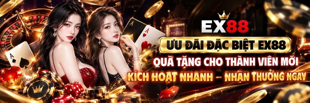 banner EX88
