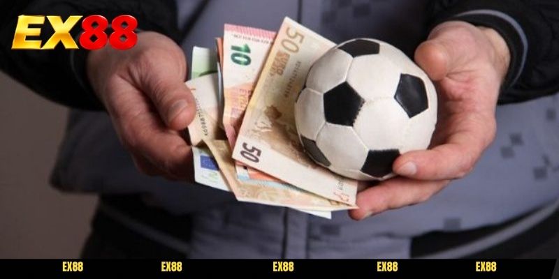 Bí quyết soi tỷ lệ kèo cược chuẩn dành cho tân thủ