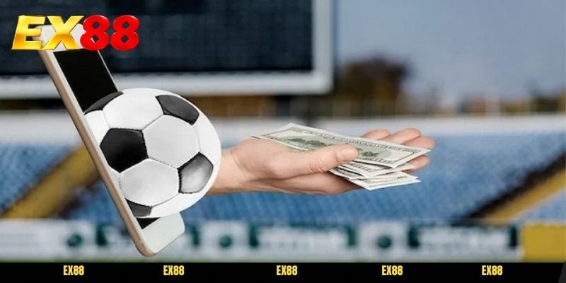 Kinh nghiệm cá cược những trận đấu nhỏ cùng tips soi kèo bóng cỏ