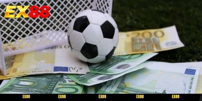 Biến động tỷ lệ cược giúp ứng dụng tips soi kèo bóng cỏ